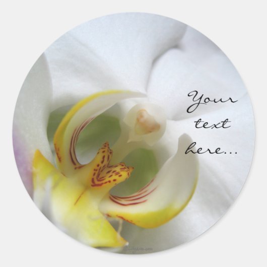 ファレノプシスオーキッド結婚式招待状シール ラウンドシール (正面)
