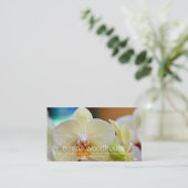 ファレノプシスラン 名刺 (スタンド正面)