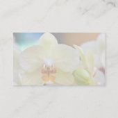 ファレノプシスラン 名刺 (裏面)