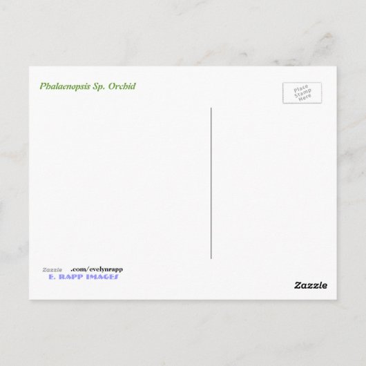 ファレノプシス(Phalaenopsis)蘭 ポストカード (裏面)