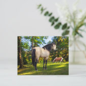 「ファロン」 ポストカード (スタンド正面)