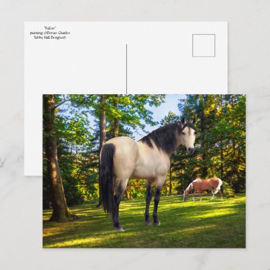 「ファロン」 ポストカード (正面/裏面)