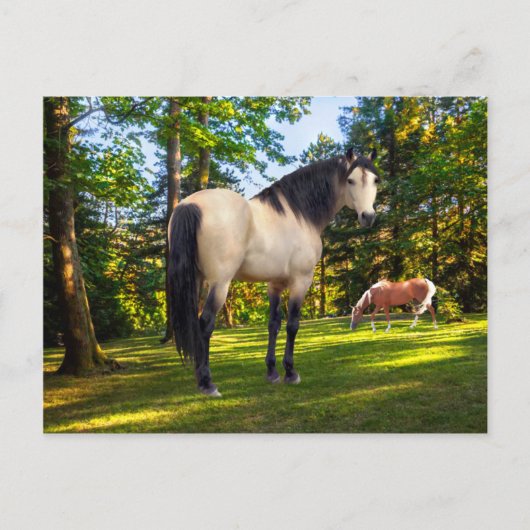 「ファロン」 ポストカード (正面)