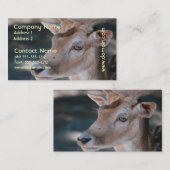 ファロージカの名刺 名刺 (正面/裏面)