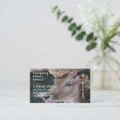 ファロージカの名刺 名刺 (スタンド正面)