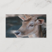 ファロージカの名刺 名刺 (裏面)