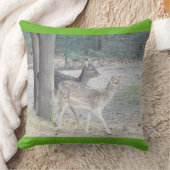 ファローディアー装飾用クッション クッション (ブランケット)