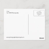 ファロ ポストカード (裏面)