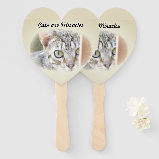 ファンと猫の奇跡|過去記事 ハンドファン (正面&裏面)