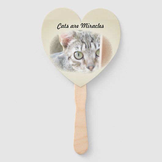 ファンと猫の奇跡|過去記事 ハンドファン (正面)