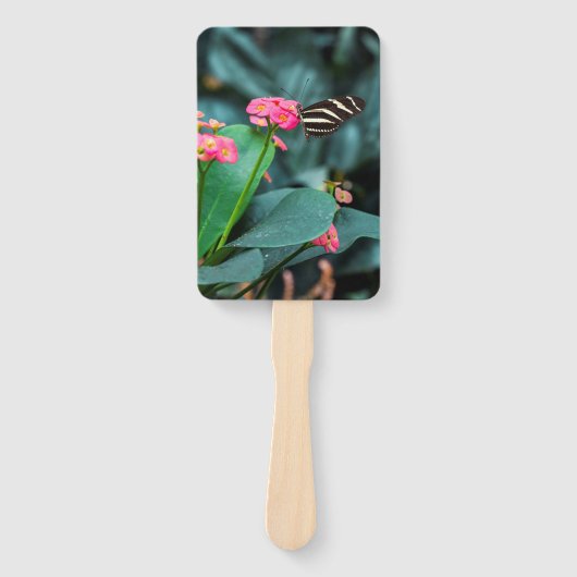 ファンのセット ハンドファン (正面)