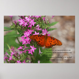 ファンの8:31、32はMariposa湾のFritillaryを騙します ポスター