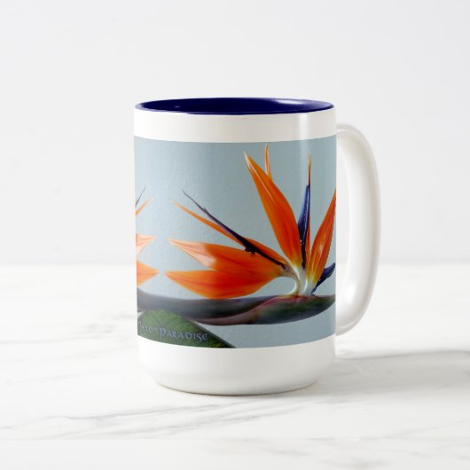 ファンオブパラダイスマグ ツートーンマグカップ (正面右)