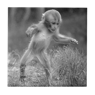 ファンキーで小さい猿 タイル