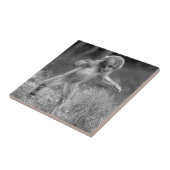 ファンキーで小さい猿 タイル (側面)