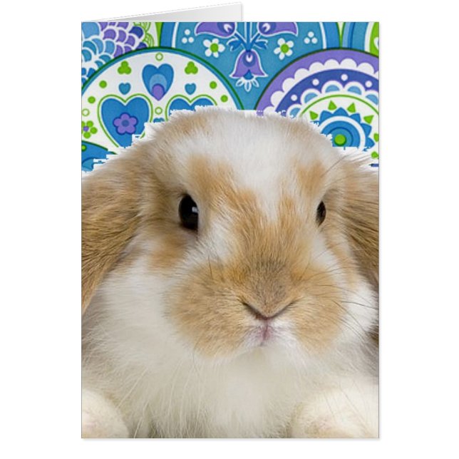 ファンキーなバニー (正面)