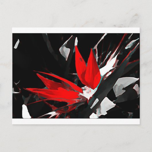 ファンキー極楽鳥 ポストカード (正面)