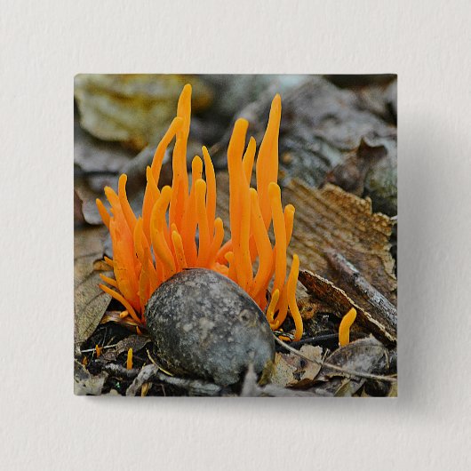 ファンキー真菌ボタン 缶バッジ (正面)