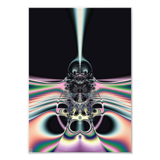 ファンキー鳥 フォトプリント            (正面)