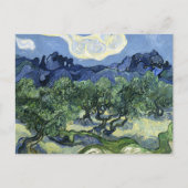 ファンゴッホのオリーブの木の風景絵を描ズ ポストカード (正面)
