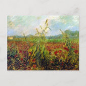 ファンゴッホの有名絵を描な緑のトウモロコシの茎 ポストカード (正面)