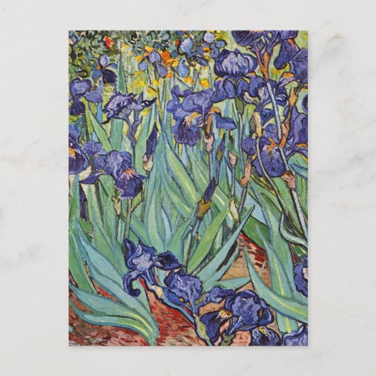 ファンゴッホアイリス印象派絵画の ポストカード (正面)