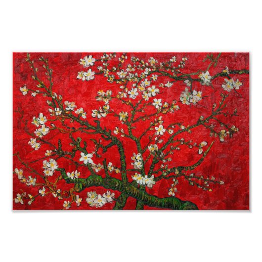 ファンゴッホアーモンド花咲き赤 フォトプリント (正面)