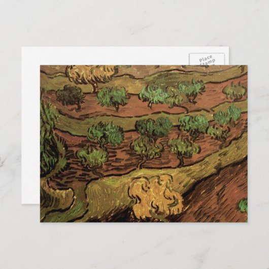 ファンゴッホオリーブの木々が丘の斜面に ポストカード (正面/裏面)