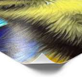 ファンゴッホ星空のナイトシャメネコ フォトプリント            (角)