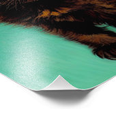 ファンゴッホ黒猫赤い花 フォトプリント            (角)