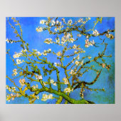ファンゴッホ：アーモンドの木の枝の開花 ポスター (正面)