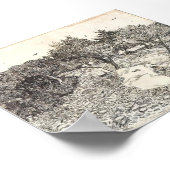 ファンゴッホ – オリーブの木 ポスター (角)