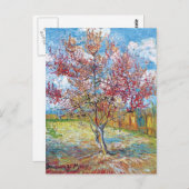ファンゴッホ – ピンクピーチツリーズ ポストカード (正面/裏面)