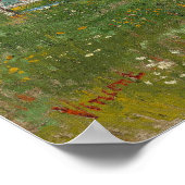 ファンゴッホ – 花の果樹園（梅） ポスター (角)