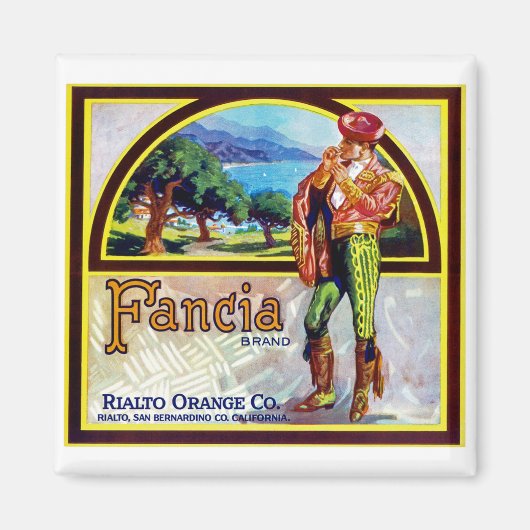 ファンシア・オレンジ マグネット (正面)