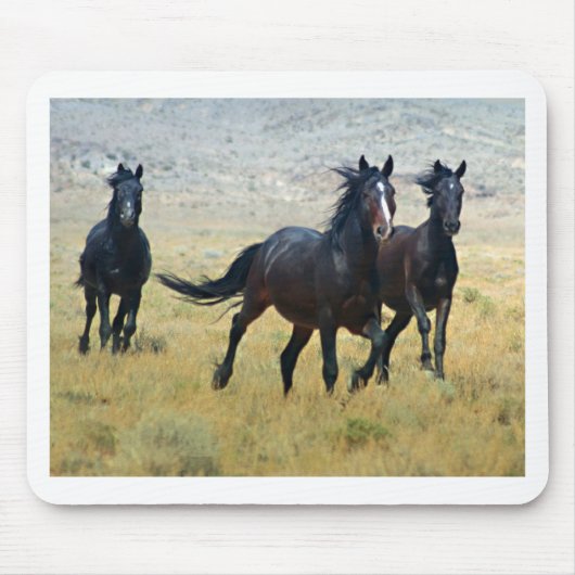 ファンシーな自由 マウスパッド (正面)