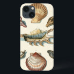 ファンシーな貝のビーチ iPhone 13ケース<br><div class="desc">ジョージウォルフガングKnorrは貝の彼のイラストレーションおよびヒトデの敏感な詳細そして精密のために知られています。 彼のスケッチは科学の彼自身の興味、彼の時代の人気があるな件名によって影響を及ぼされました。</div>