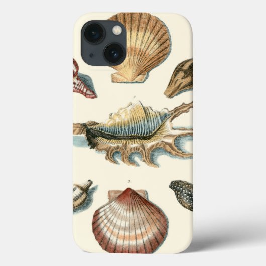 ファンシーな貝のビーチ Case-Mate iPhoneケース (裏面)