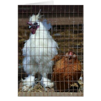 ファンシーな鶏