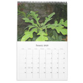 ファンシーなFoilageの2009カレンダー カレンダー (1月 2026)