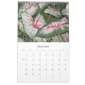 ファンシーなFoilageの2009カレンダー カレンダー (3月 2026)