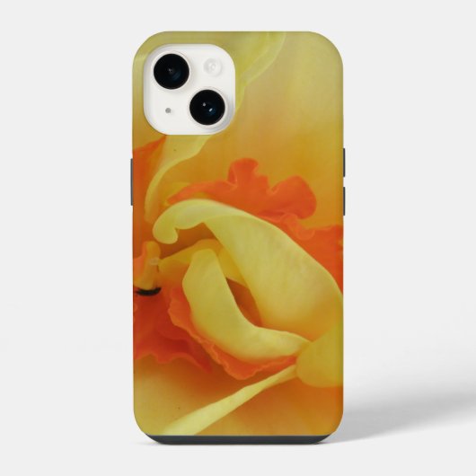 ファンシーダッフォディル iPhoneケース (裏面)