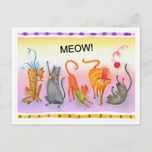 . .ファンシー猫が家に新たに ポストカード (正面)