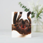 ファンズ – タランチュラアートイメージ2 ポストカード (スタンド正面)