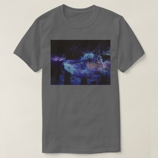 ファンタジア Tシャツ (デザイン正面)