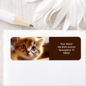 ファンタジーかわいいクローズアップ小さな子猫 ラベル (インサイチュ)