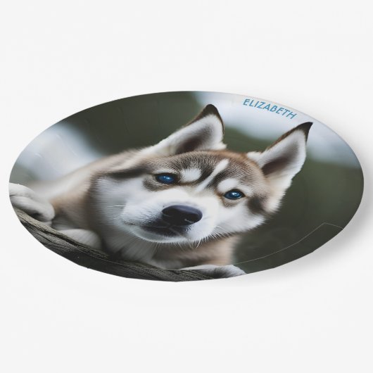 ファンタジーかわいいシベリアのハスキー、ヴィンテージファンタジー ペーパープレート (アングル)