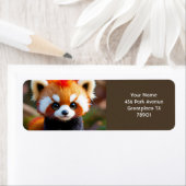 ファンタジーかわいいパンダレッドヘア ラベル (インサイチュ)