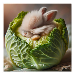ファンタジーかわいいベビーバニーキャベツ ポスター