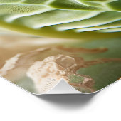 ファンタジーかわいいベビーバニーキャベツ ポスター (コーナー)